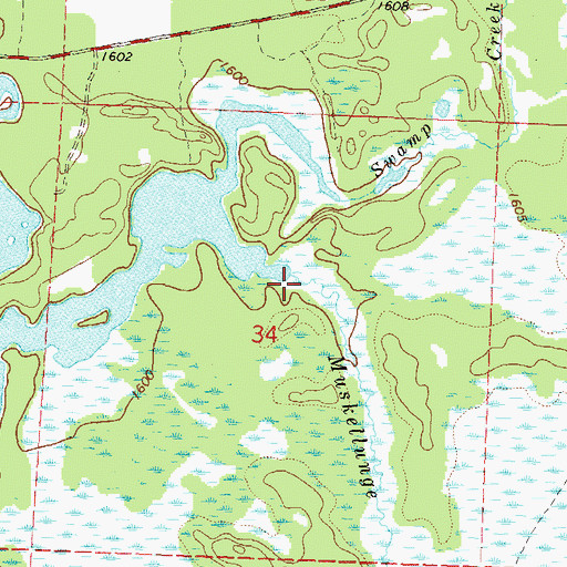 Topographic Map of Muskellunge Creek, WI