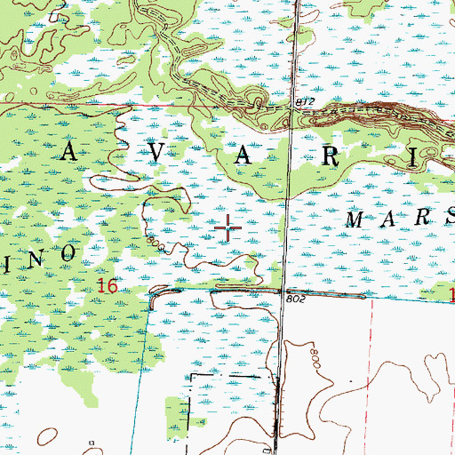 Topographic Map of Navarino Marsh, WI