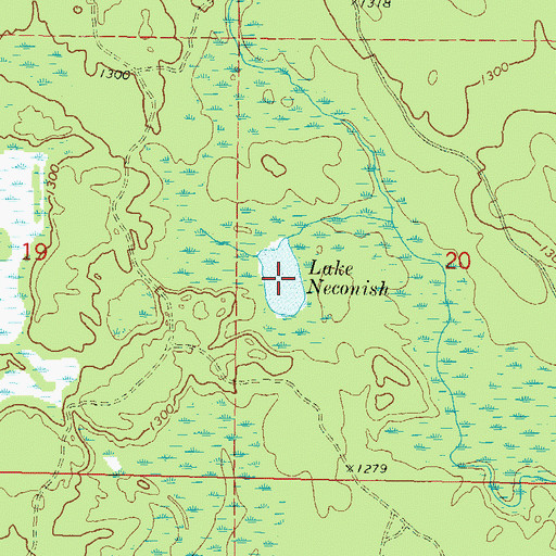 Topographic Map of Lake Neconish, WI
