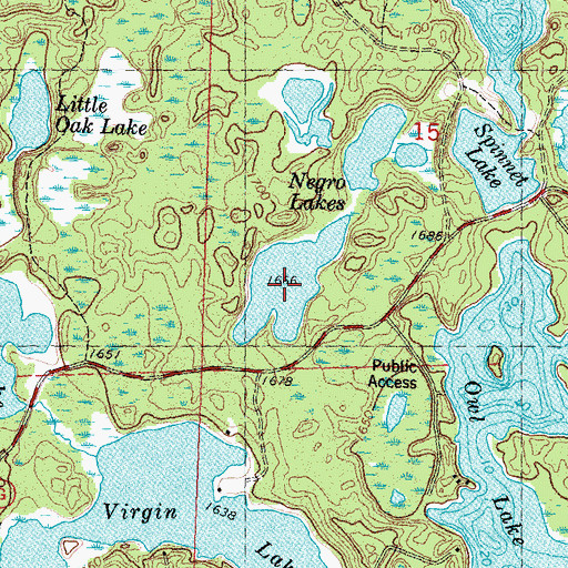 Topographic Map of Negro Lakes, WI