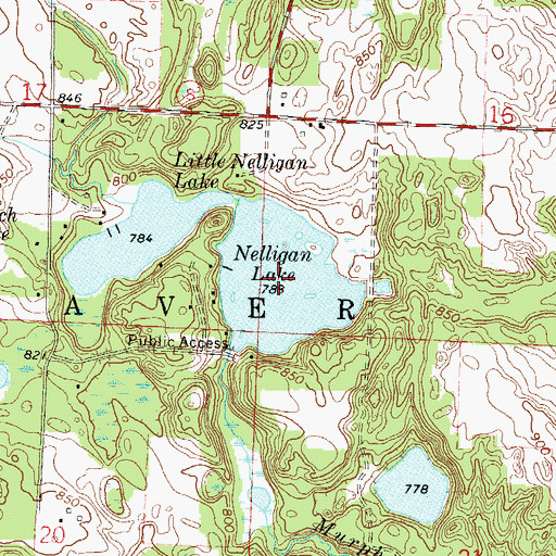 Topographic Map of Nelligan Lake, WI