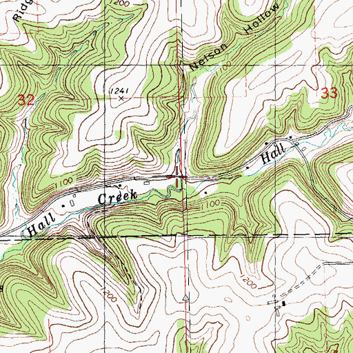 Topographic Map of Nelson Hollow, WI