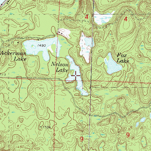 Topographic Map of Nelson Lake, WI