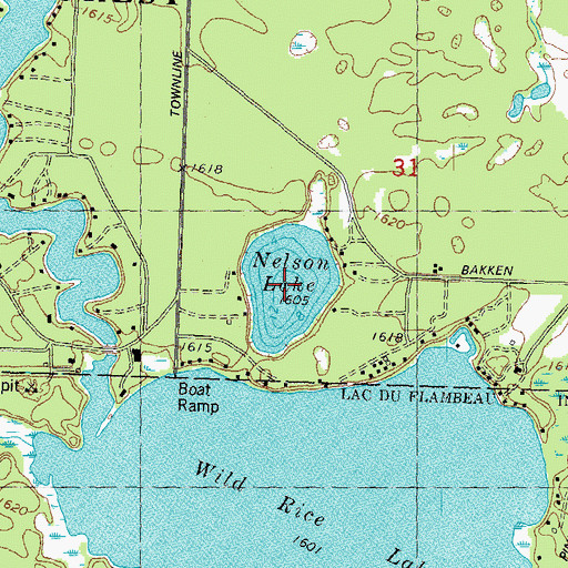 Topographic Map of Nelson Lake, WI