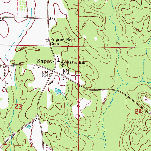 Topographic Map of Sapps, AL