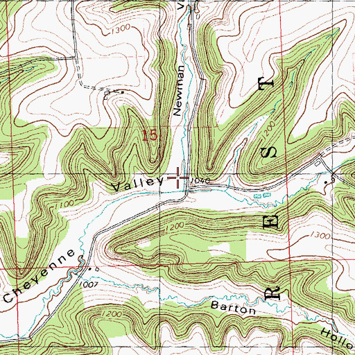 Topographic Map of Newman Valley, WI