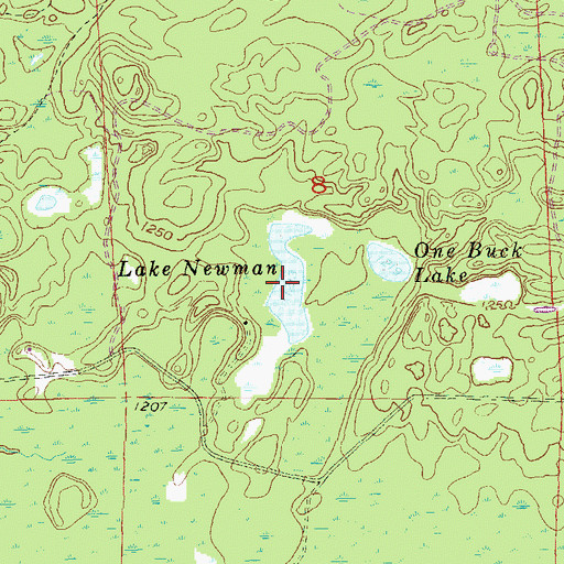 Topographic Map of Lake Newman, WI