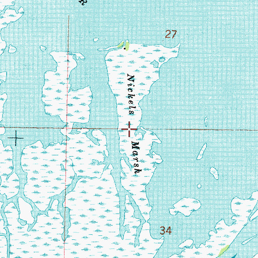 Topographic Map of Nickels Marsh, WI