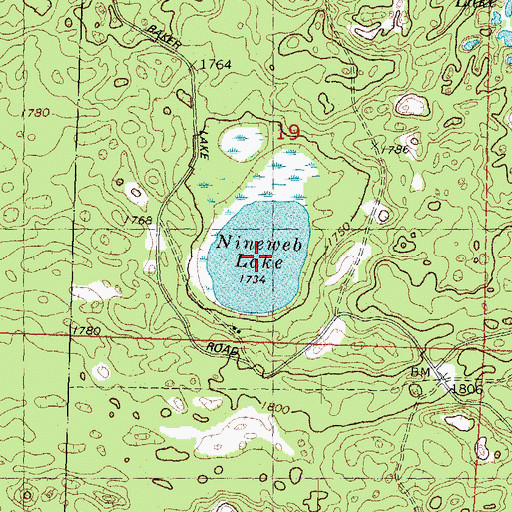 Topographic Map of Nineweb Lake, WI