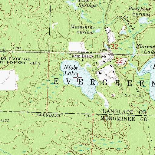 Topographic Map of Niobe Lake, WI