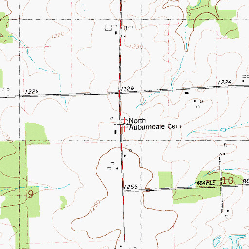 Topographic Map of North Auburndale Cemetery, WI