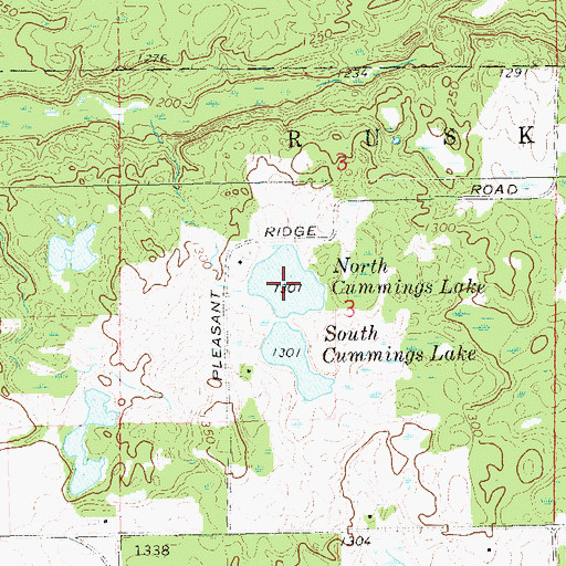Topographic Map of North Cummings Lake, WI