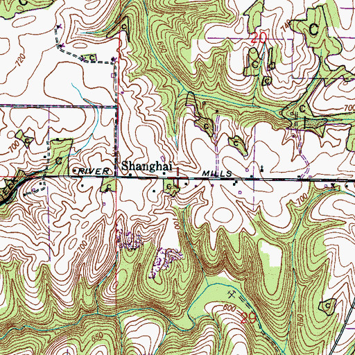 Topographic Map of Shanghai, AL
