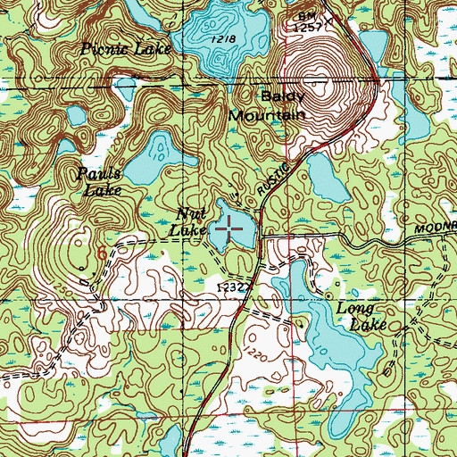 Topographic Map of Nut Lake, WI
