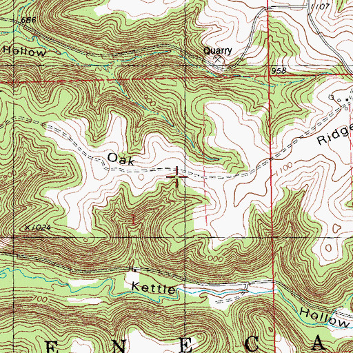 Topographic Map of Oak Ridge, WI