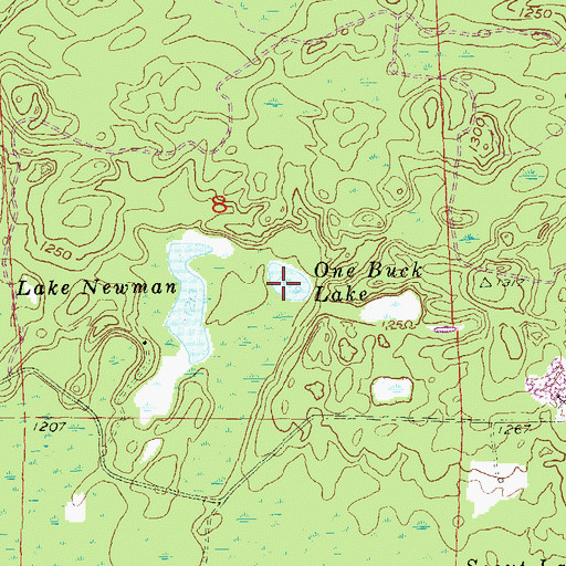 Topographic Map of One Buck Lake, WI