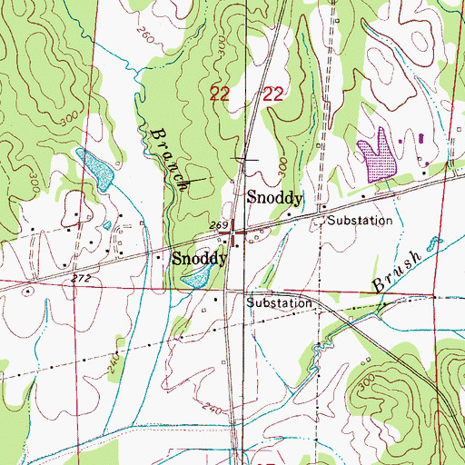 Topographic Map of Snoddy, AL