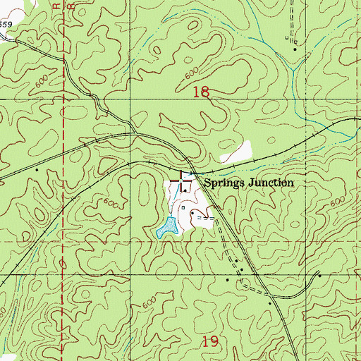 Topographic Map of Springs Junction, AL