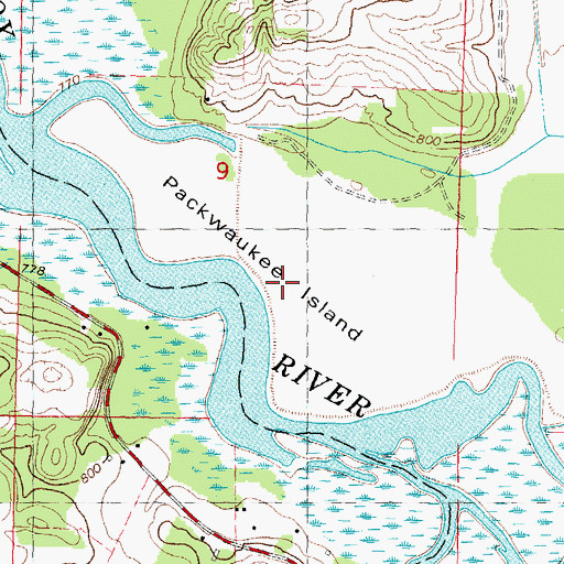 Topographic Map of Packwaukee Island, WI