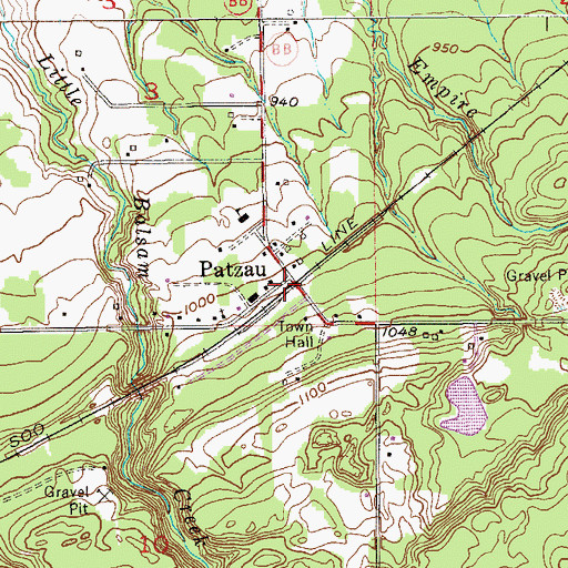Topographic Map of Patzau, WI