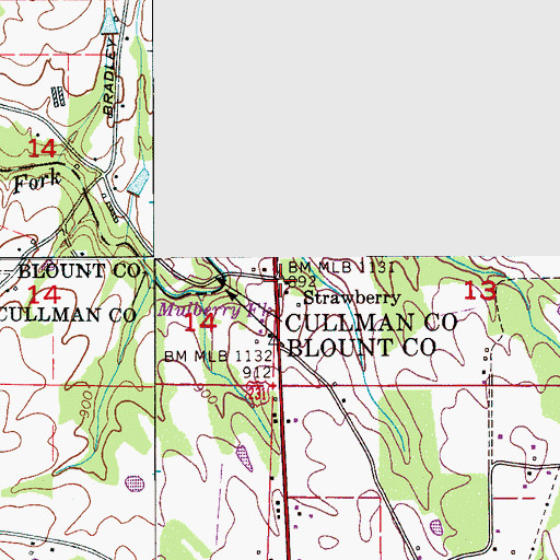 Topographic Map of Strawberry, AL