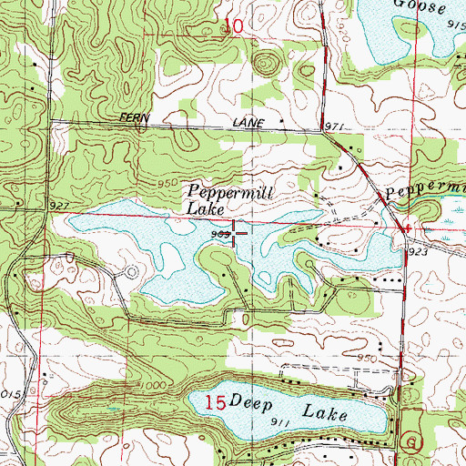 Topographic Map of Peppermill Lake, WI