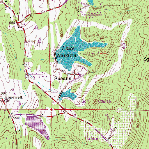 Topographic Map of Sueann, AL