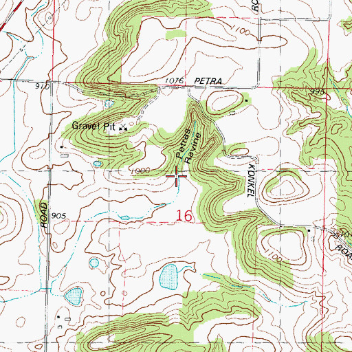 Topographic Map of Petras Ravine, WI