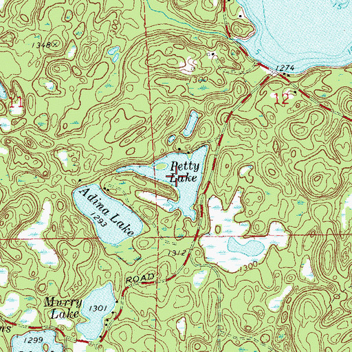 Topographic Map of Petty Lake, WI