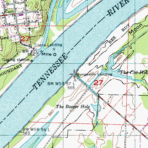 Topographic Map of Sunnyside Landing, AL