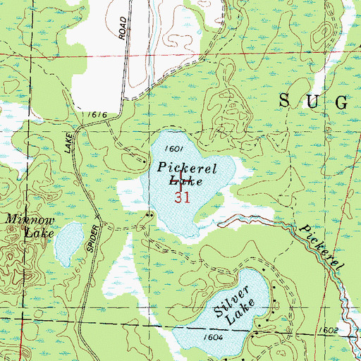 Topographic Map of Pickerel Lake, WI