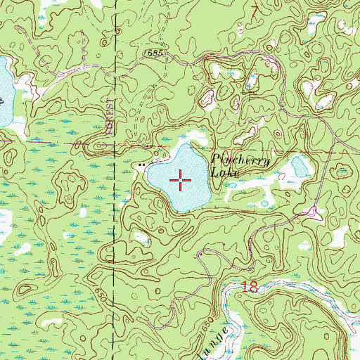 Topographic Map of Pincherry Lake, WI