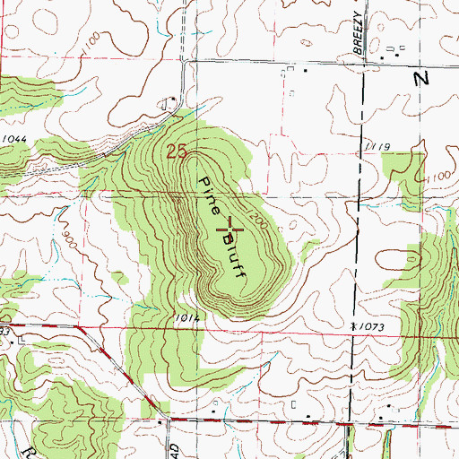 Topographic Map of Pine Bluff, WI