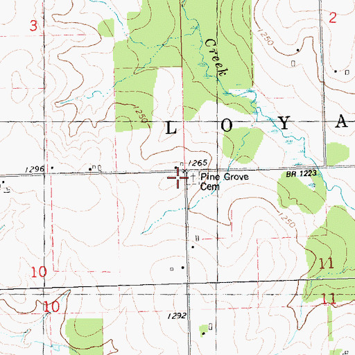 Topographic Map of Pine Grove Cemetery, WI