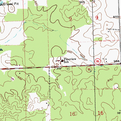 Topographic Map of Pineview School, WI