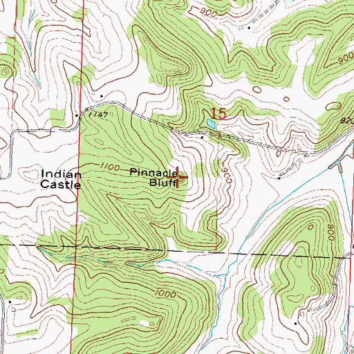 Topographic Map of Pinnacle Bluff, WI
