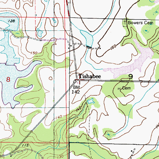 Topographic Map of Tishabee, AL