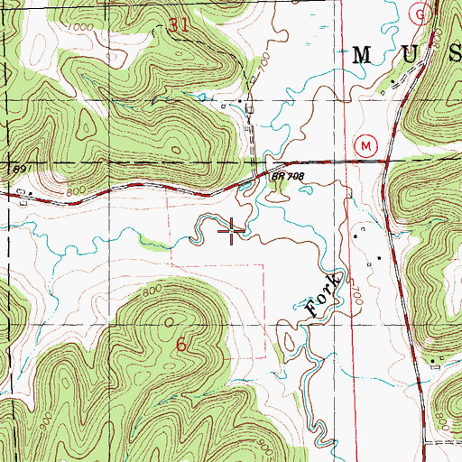 Topographic Map of Pleasant Valley, WI