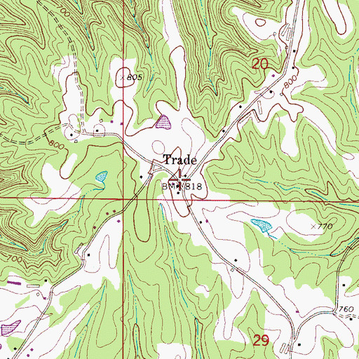 Topographic Map of Trade, AL