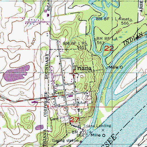 Topographic Map of Triana, AL