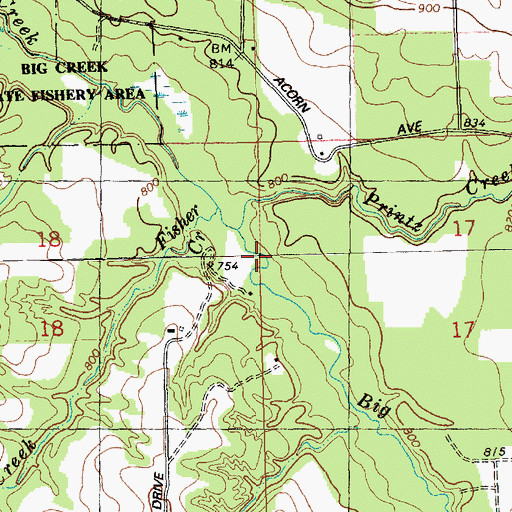 Topographic Map of Printz Creek, WI