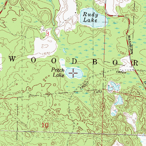 Topographic Map of Pritch Lake, WI