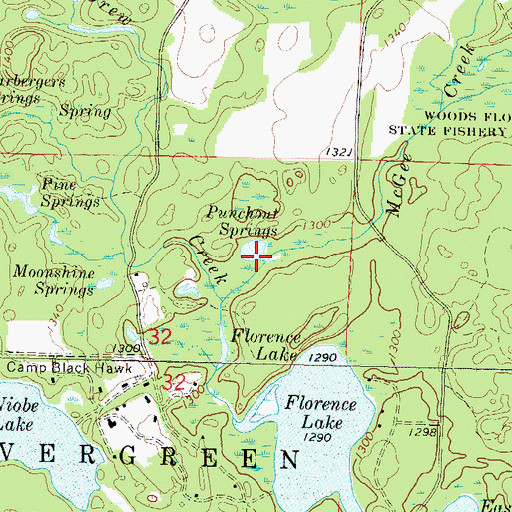 Topographic Map of Punchout Springs, WI
