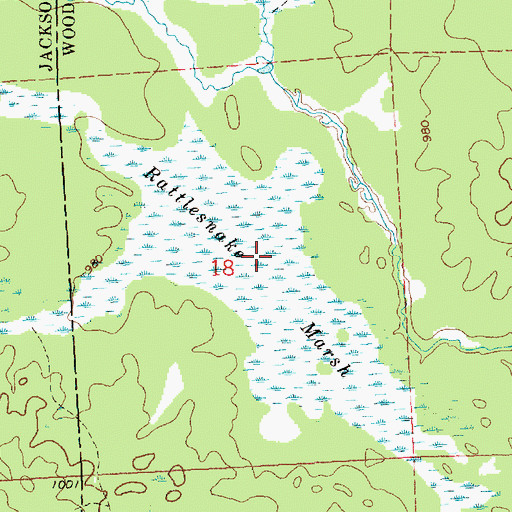 Topographic Map of Rattlesnake Marsh, WI