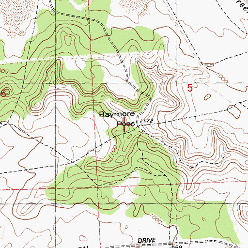 Topographic Map of Raymore Pass, WI