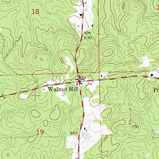 Topographic Map of Walnut Hill, AL