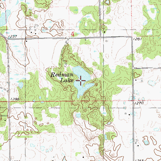 Topographic Map of Redman Lake, WI