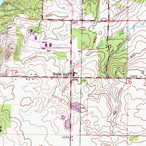 Topographic Map of Reek Elementary School, WI