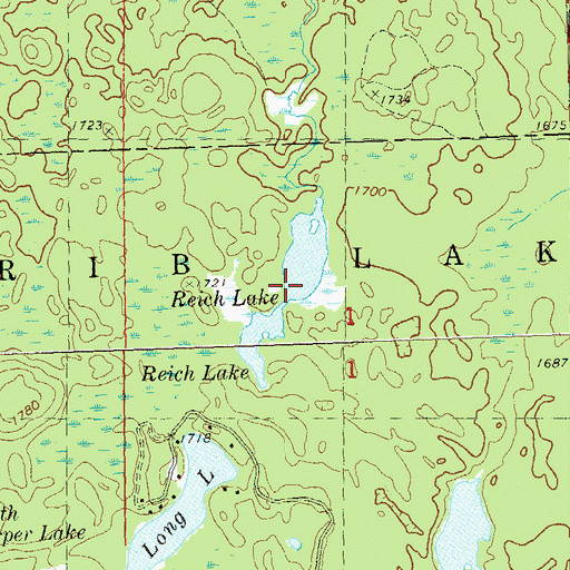 Topographic Map of Reich Lake, WI