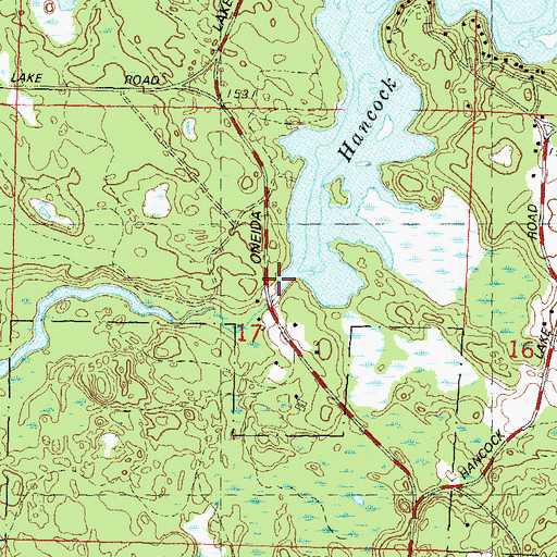 Topographic Map of Rice Creek, WI